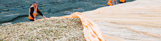 Reduce mycotoxin risk from silage with Silostop