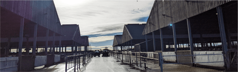 Global Dairy Farmers Day