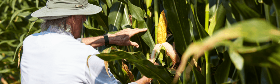 In a Tight Feed Market, Save Money at the Margins
