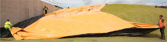 Careful clamp management focused on minimising clamp wastage helps boost Rivermead Jerseys productivity