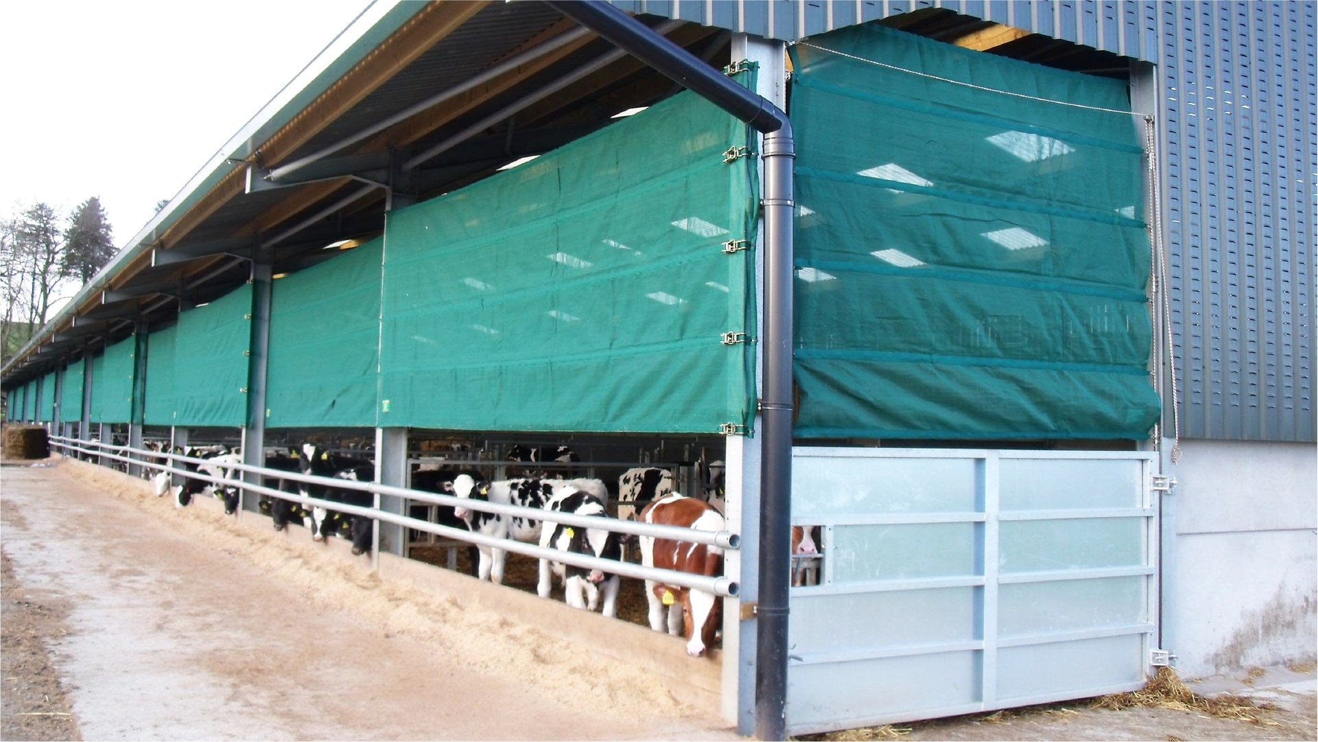 tarp windbreak Sichere Windschutze – Silostop Agri