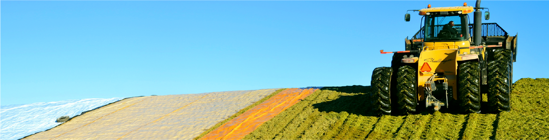 Top 5 Tips for Making High-Quality Corn Silage: Maximize Yield, Quality, and Safety