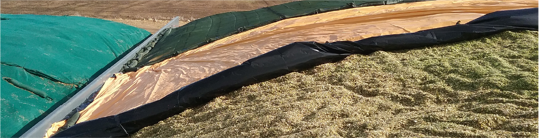 Ensiling Silage: No Sheet vs. Oxygen Barrier Silage Sheet