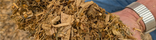 Preparing for Corn Silage Harvest: Key Steps for Safety, Quality, and Efficiency