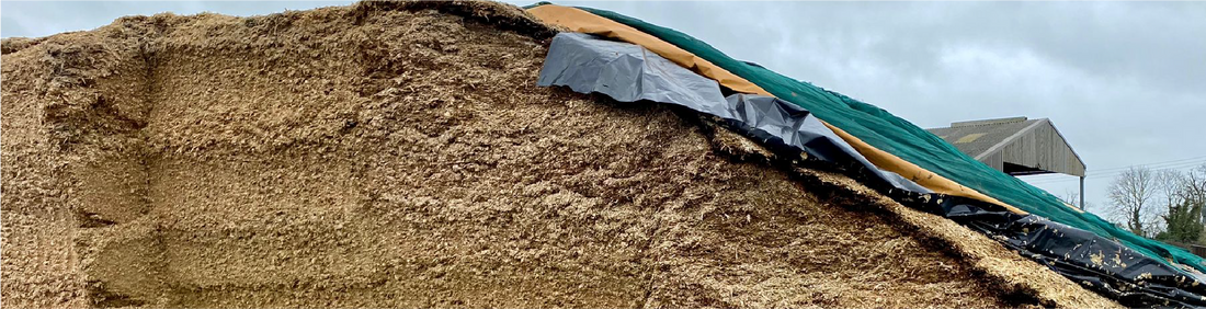 Preventing Silage Spoilage in Cold, Wet Weather