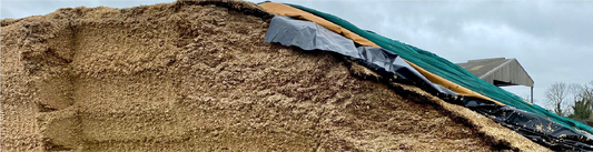 Preventing Silage Spoilage in Cold, Wet Weather