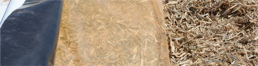 Effective Clamp Management to Reduce Silage Losses