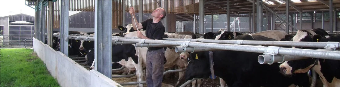 The Risks Of Poor Ventilation For Livestock