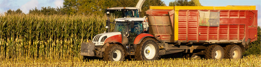 Best Practices and Pitfalls to Avoid in Producing High-Quality Silage