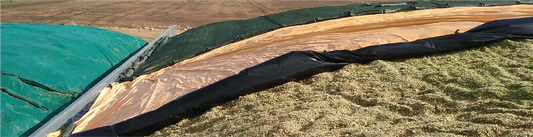 Keep Soil Out of Silage: Why It Matters More Than You Think