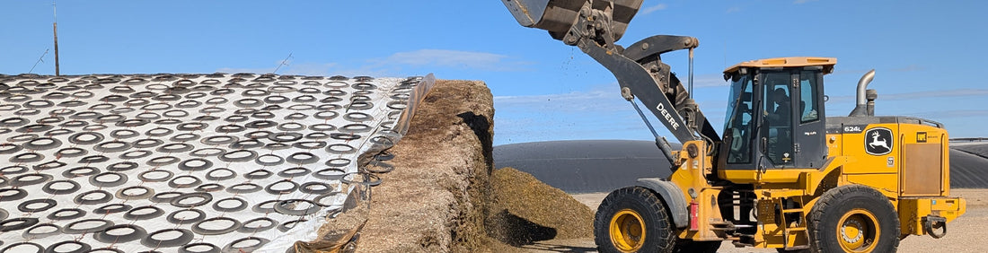 Winter Silage Feeding Tips: How to Maintain Feed Quality and Healthy Livestock