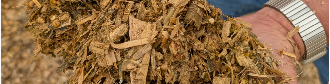 Poor Maize Crop? Protect Every Tonne.