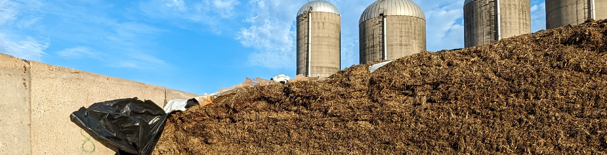 Maximizing Silage Safety with Silostop: Protect Your Forage and Livest ...