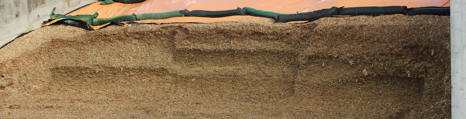3 Ways to Reduce Dry Matter (DM) Losses in Your Silage Clamp – Silostop ...
