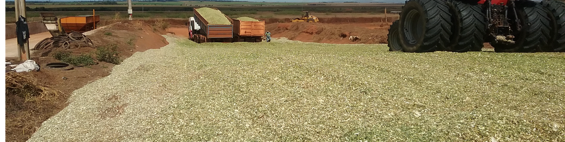Meet our Distributors: Growth Agro