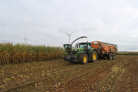 3 Mistakes to Avoid During This Year's Maize Harvest