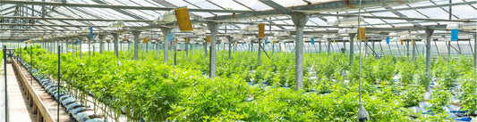 Reducing greenhouse gas emissions in silage production with HOB film