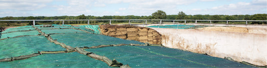Protect silage with modern sheeting products to preserve DM content and reduce aerobic spoilage.