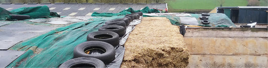 Effect of an high oxygen barrier film on composition and losses from the upper layers of grass/clover crops ensiled in farm-scale bunker silos