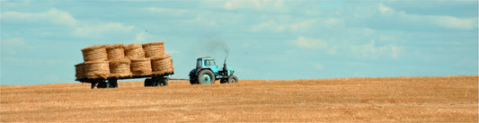 Fifty years progress in forage conservation and challenges for the future