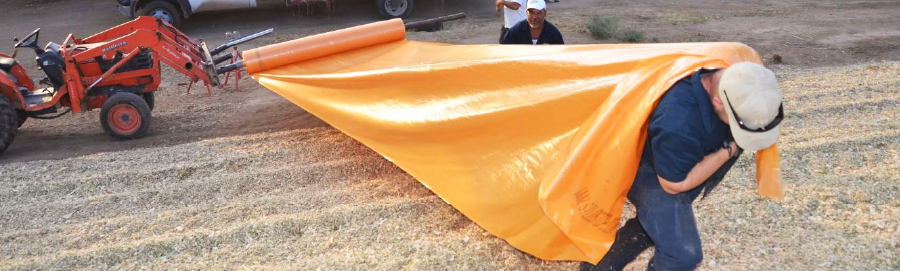 How do I choose my silage sheet?