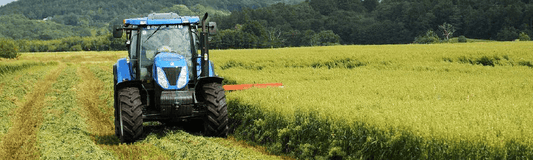 Wholecrop cereal