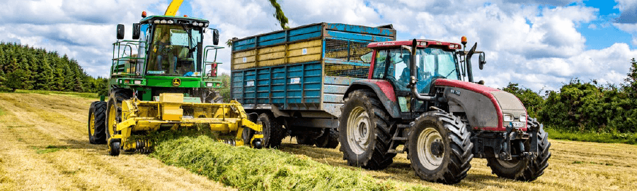 Producing good quality silage