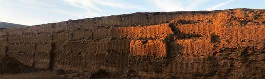 Investing in silage management