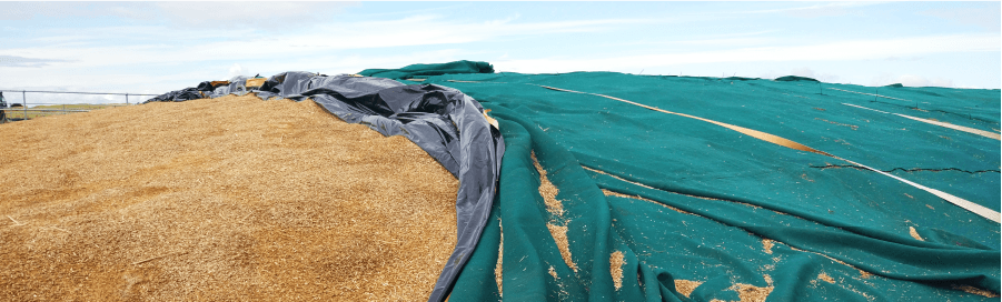 Mid-Winter Forage Review