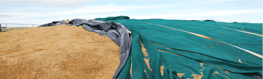 Mid-Winter Forage Review
