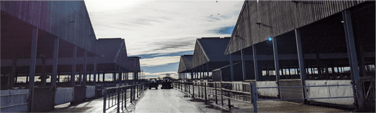 Global Dairy Farmers Day
