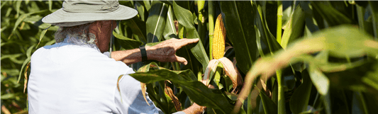 In a Tight Feed Market, Save Money at the Margins