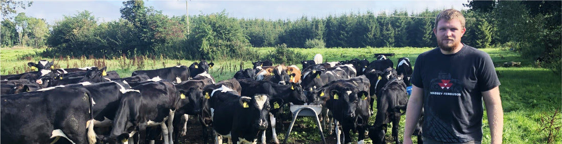 Farms around the world - Stewart Family Farm