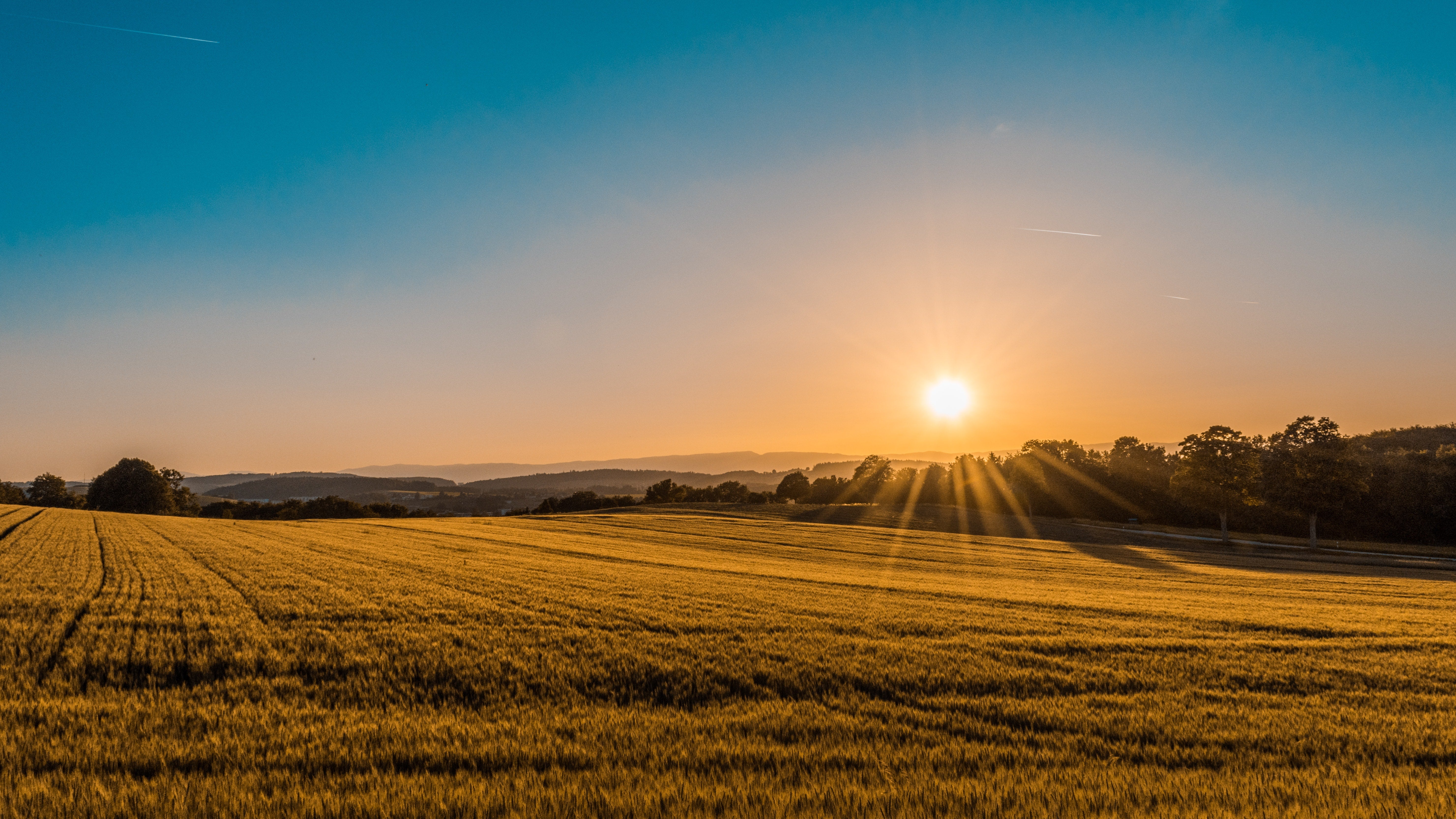 2000HA of energy crops put the focus on optimum forage conservation st ...