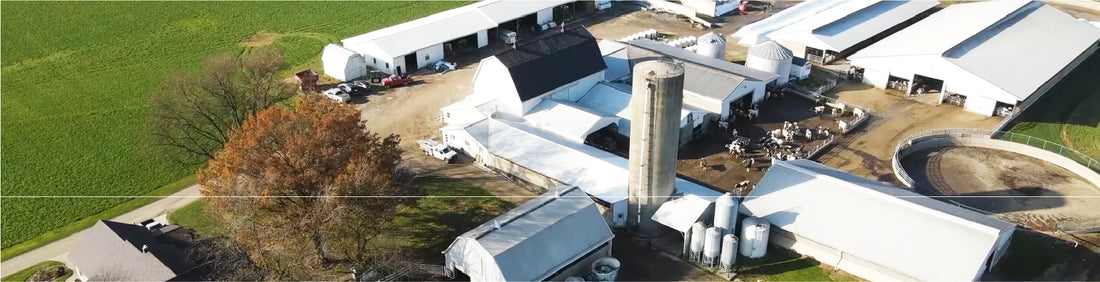 Visit Marty farms in the United States.