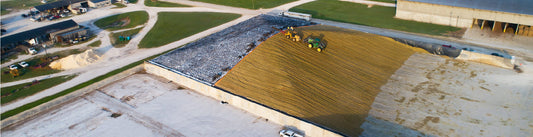 Invisible Losses in the Corn Silage Bunker: Where Dry Matter and Feed Value Go