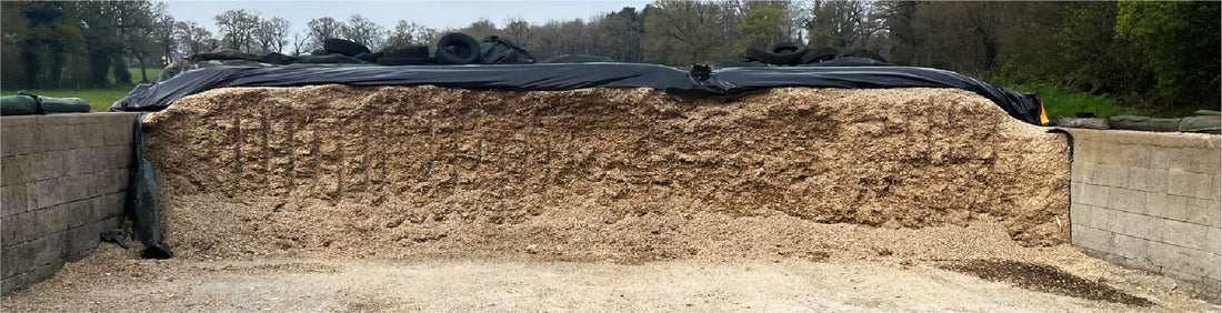 How to Protect Corn Silage Quality from Sealing to Feed-Out