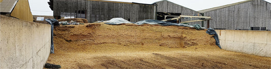 Farms around the world -  Somerset dairy farm