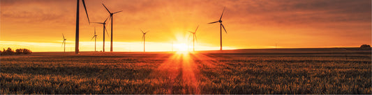 A Sustainable Future