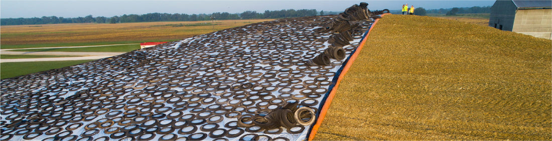 How to Reduce Silage Losses During Storage: A Silo Inspection Checklist