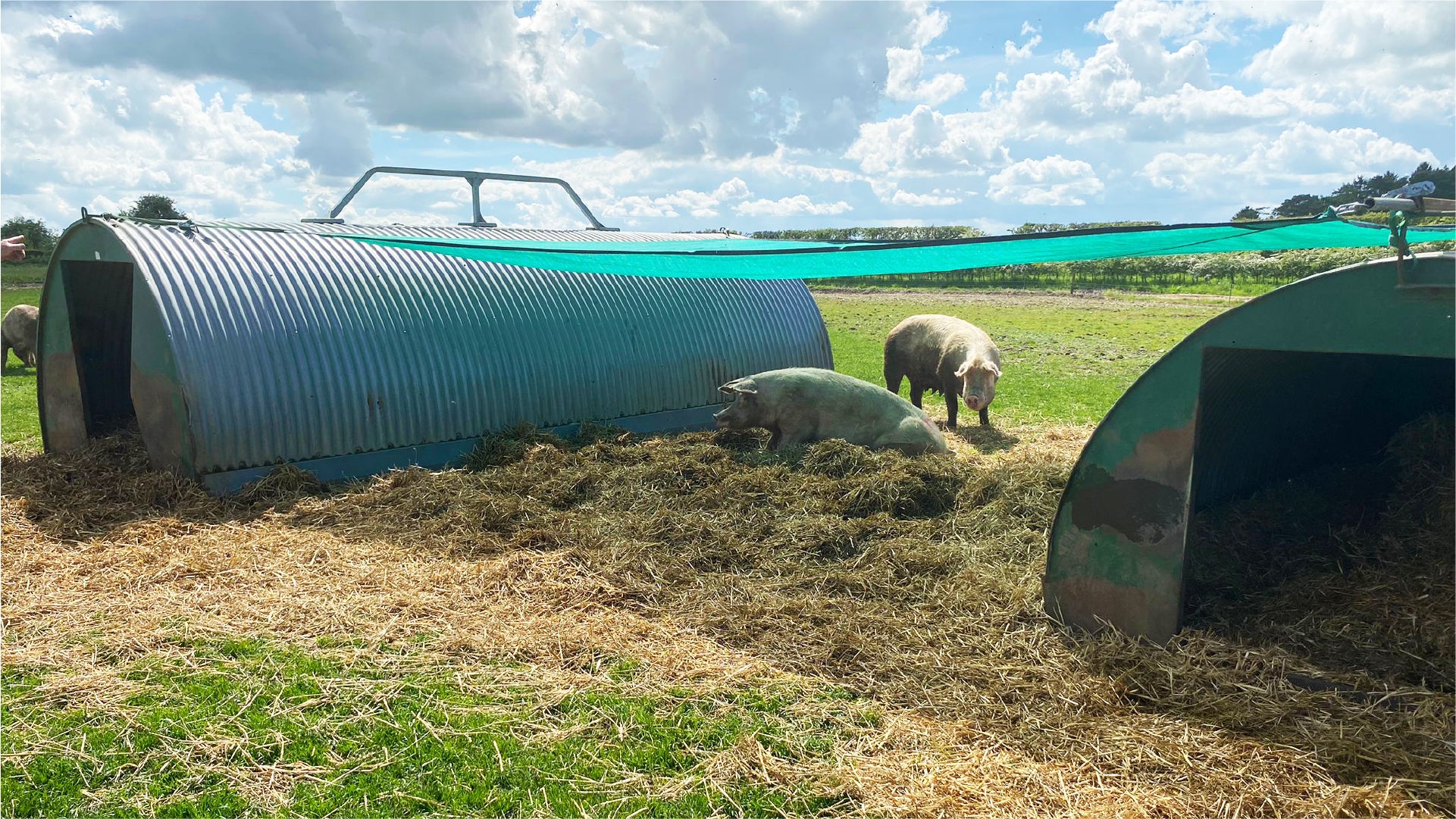 sonnensegel hühner Sichere Sonnenschirme – Silostop Agri