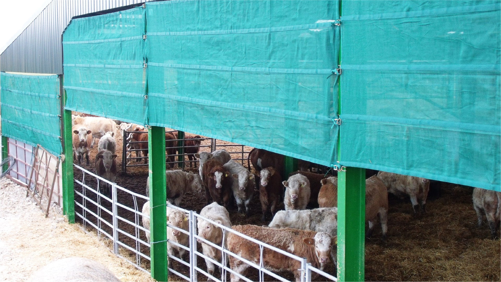 Secure Windbreaks – Silostop Agri